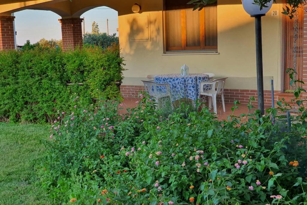 Villetta Giardino Degli Ulivi Ортона Екстериор снимка